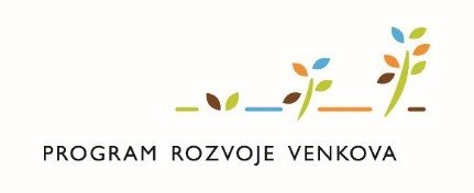 program